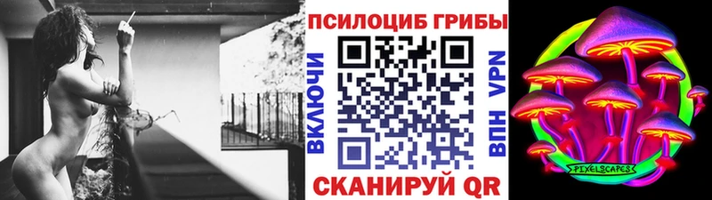 Галлюциногенные грибы Psilocybe  Купить где  Салават 